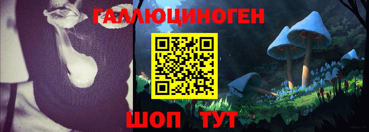 Галлюциногенные грибы Psilocybine cubensis  Псилоцибиновые грибы ЛСД  Вход с VPN  Кунгур 